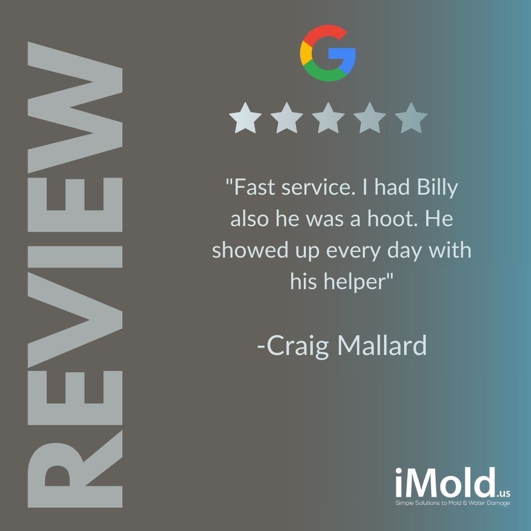 "Fast service. I had Billy also he was a hoot. He showed up every day with his helper." - Craig Mallard

Thank you for your kind words, Craig!