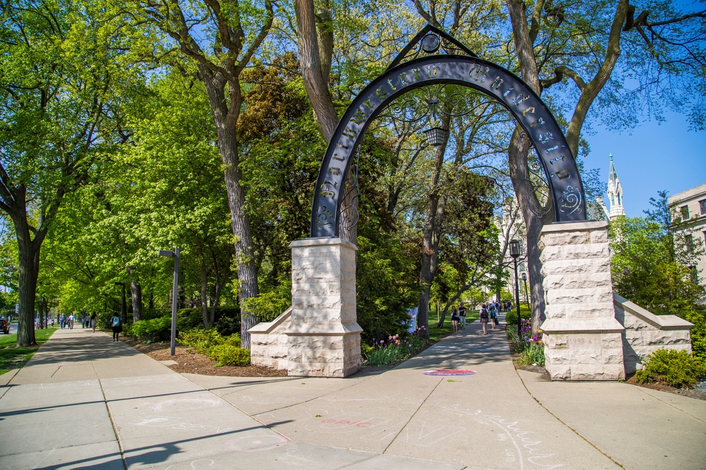 Happy Spring Break, Wildcats! 😼