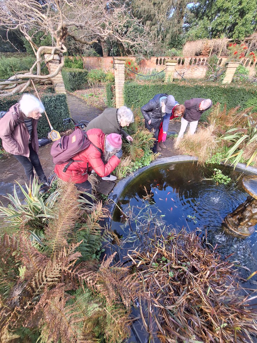 Our #wildtimes group spotted some breeding #toads whilst surveying the ponds at the rookery gardens. Volunteers of the #LeapingForwardForDementia project have worked hard alongside @sccoopstreatham to improve this pond’s value for wildlife.