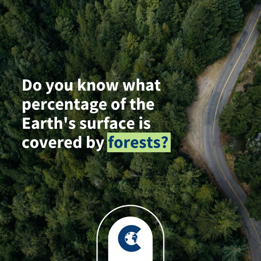 Did you know only 38% of habitable land & 26% of ALL land is forest. We're losing these vital ecosystems. Support forest conservation; market.climatetrade.com/results/en/ #ForestDay #IntlForestDay