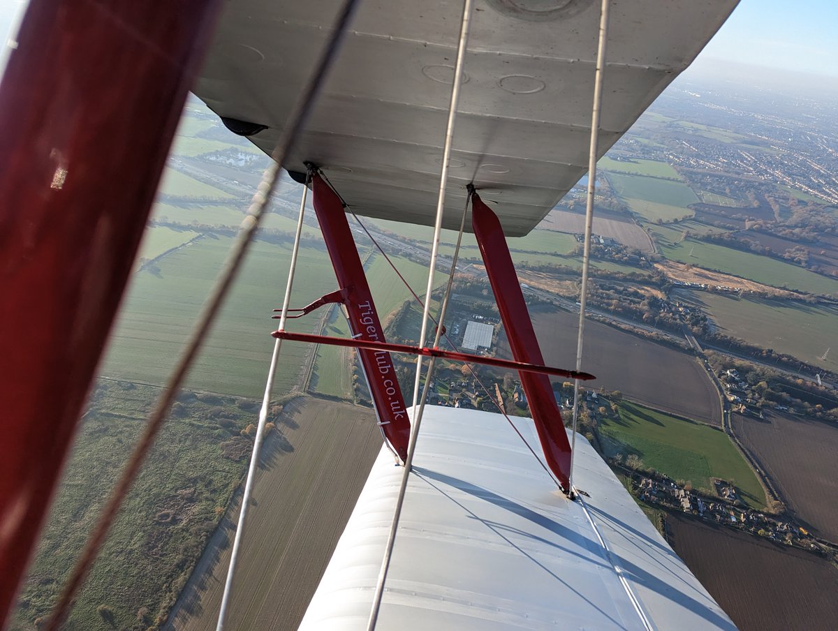 The Tiger Club tweet media