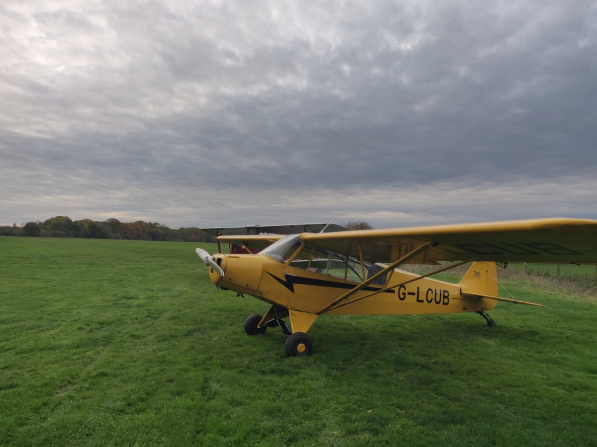 The Tiger Club tweet media