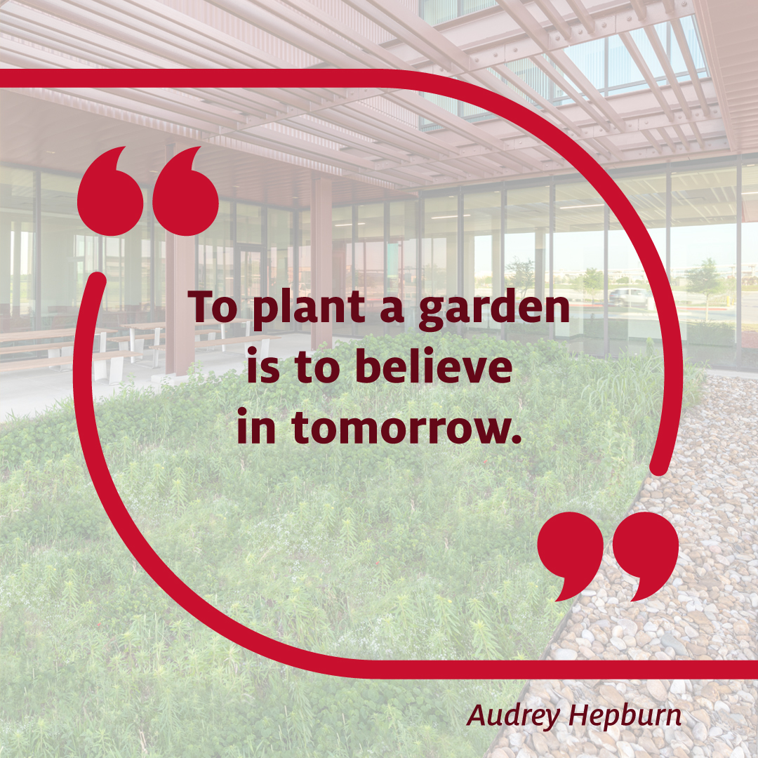 Welcome back from what was hopefully a restful break, Coogs! Time to spring into a new week! #MondayMotivation