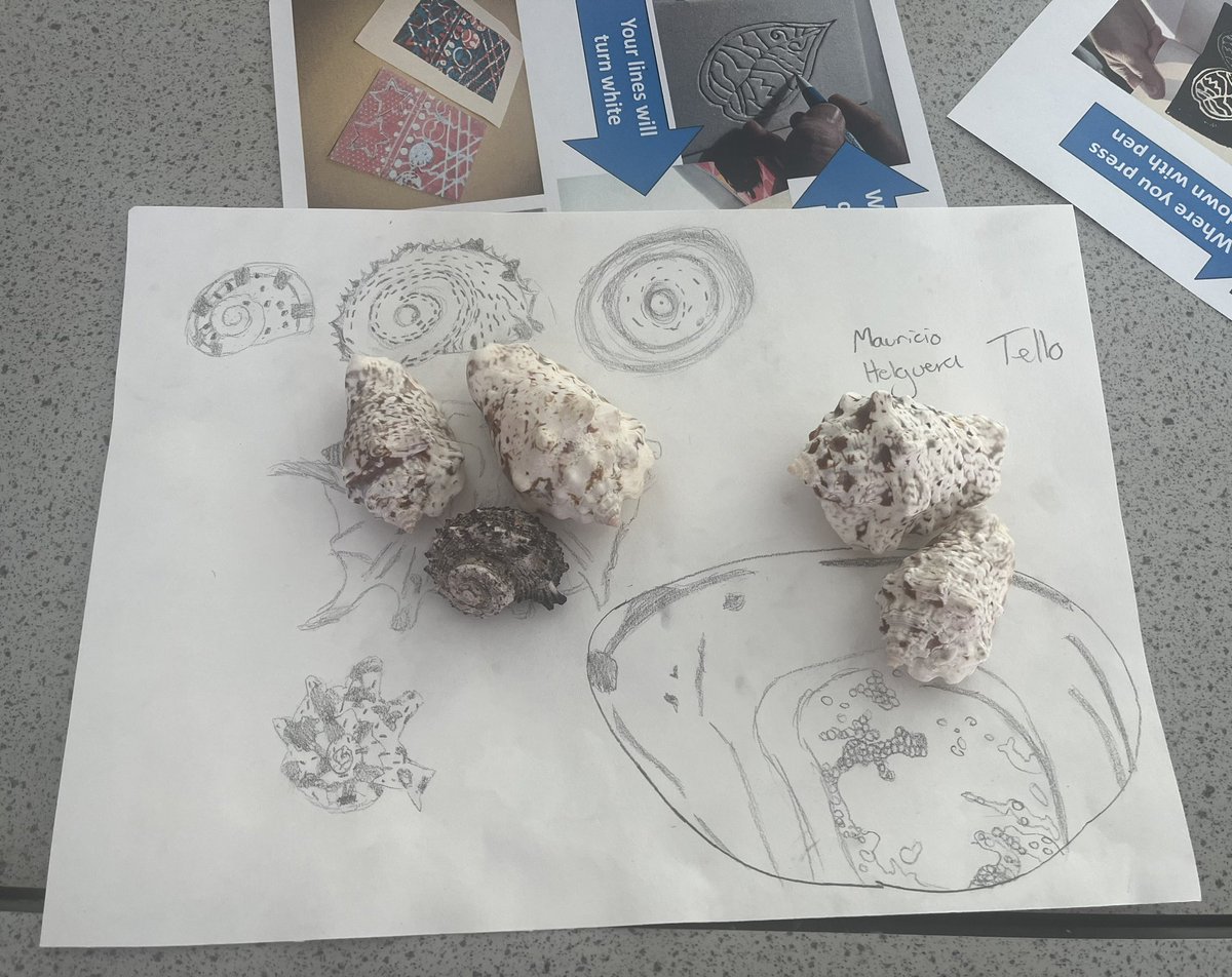 Art club today <a href="/NewmanRCCollege/">Newman Catholic College</a> <a href="/MrMcmylor/">MrMcmylor</a> drawing shells to develop into poly printing🎨
