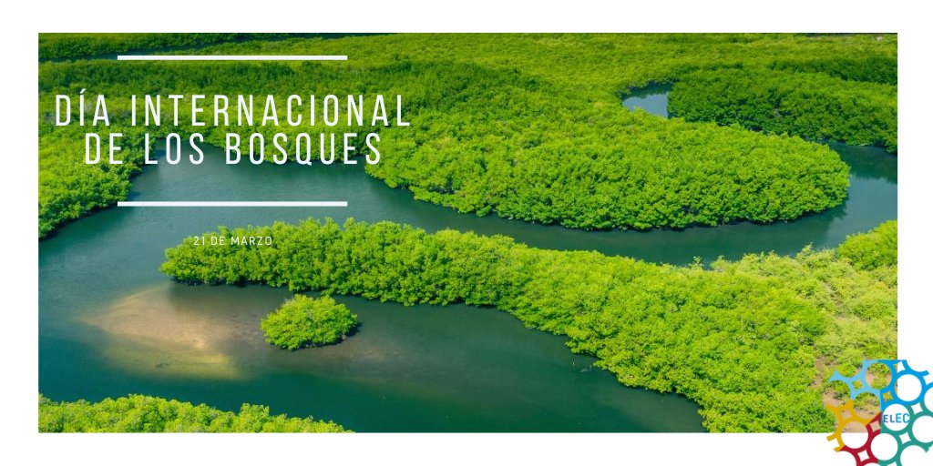 #DíaInternacionalDeLosBosques La restauración de los ecosistemas, incluidos los esfuerzos de reforestación, contribuye a mitigar el #CambioClimático y a mejorar la seguridad alimentaria, además de promover la producción sostenible de materias primas. Alineado con #Agenda2030.