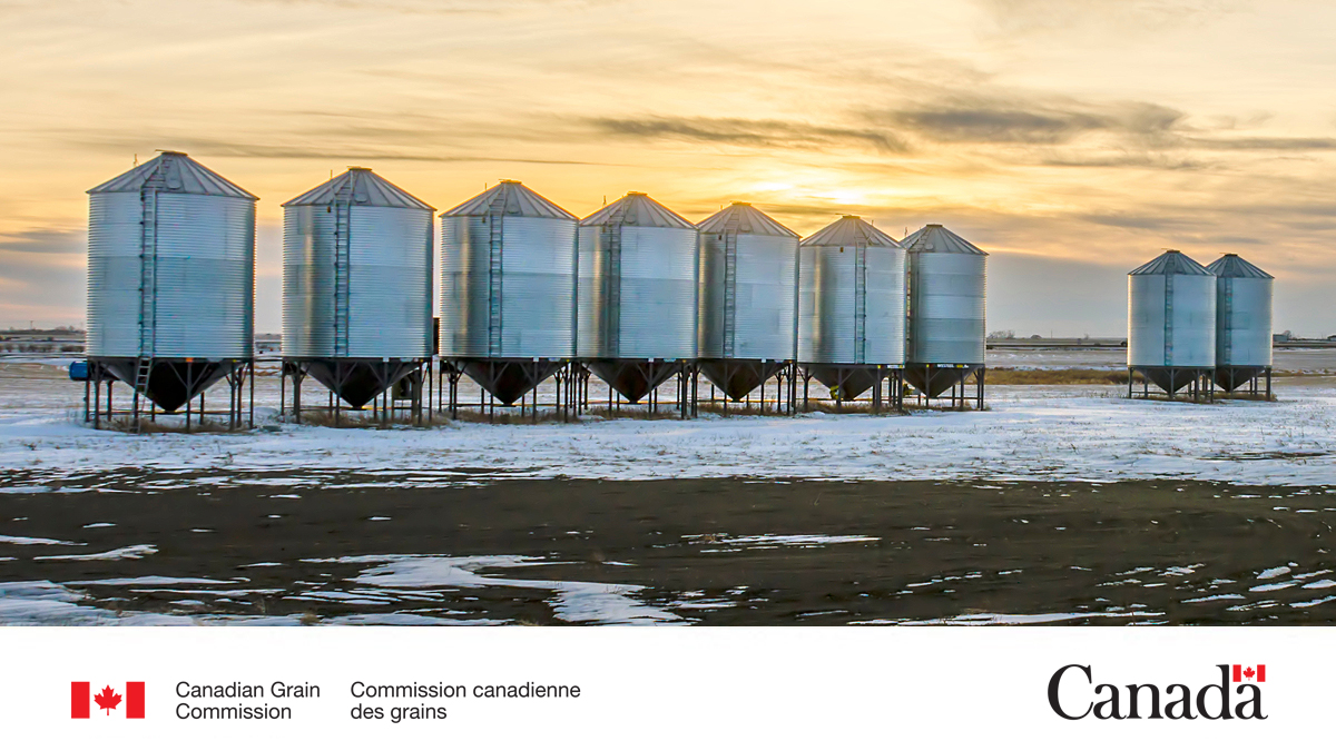 Still have grain in your storage bins from #Harvest23? Don’t put this year’s grain on top of grain from last season in a bin. This can increase the possibility of issues transferring to your newer grain. More about managing stored grain: ow.ly/g39450QUH0A