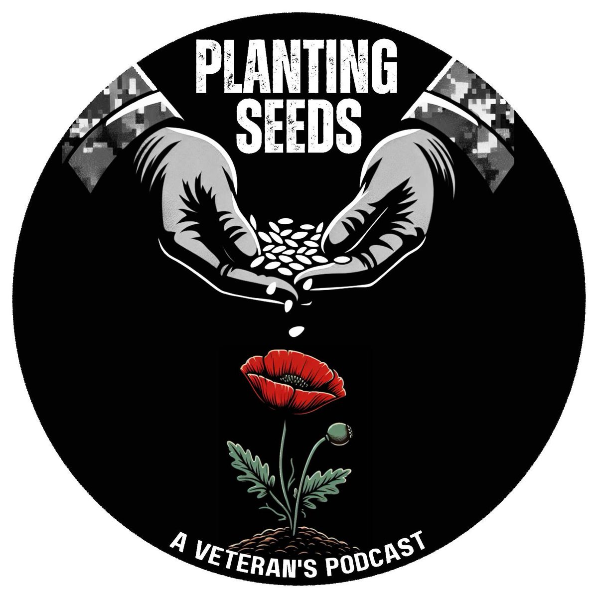 #plantingseeds with myself and @wabbitwarrior tonight at 1900