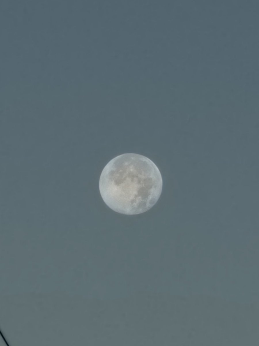 Susan Campbell tweet media