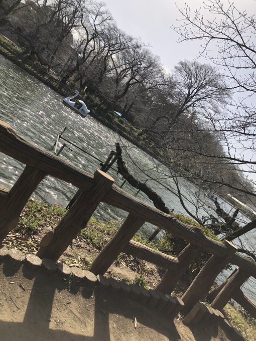 井の頭公園散歩してパン食べてました 