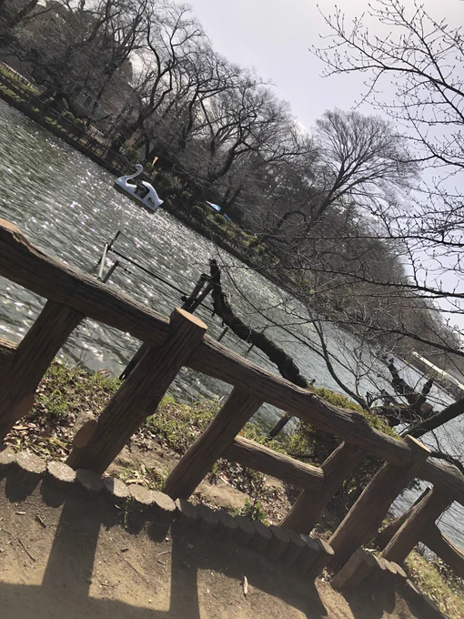 井の頭公園散歩してパン食べてました 