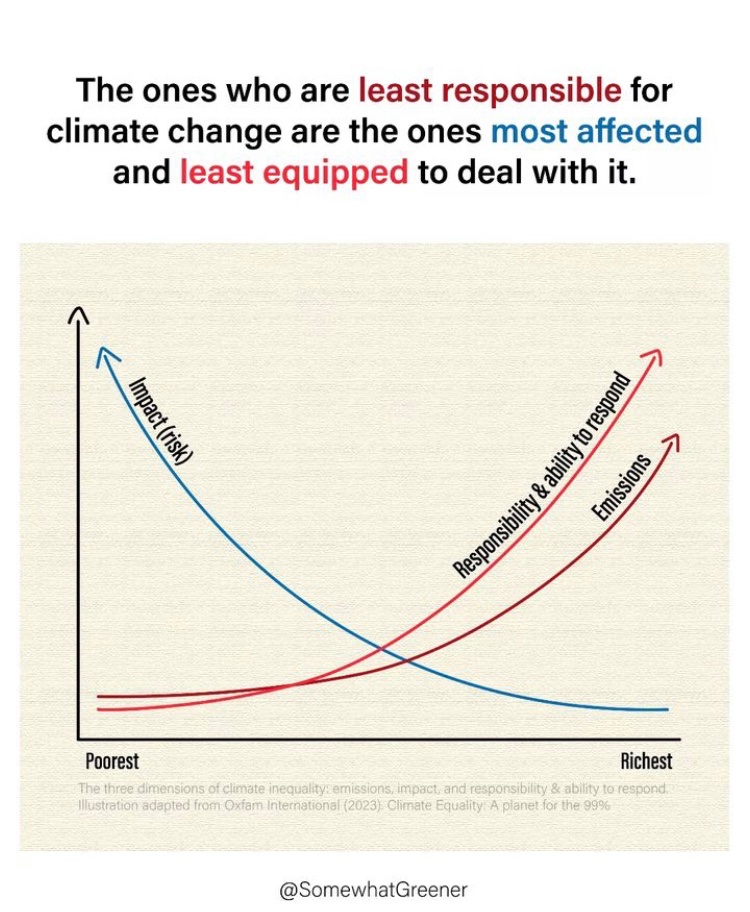 brianhugstrees's tweet image. Eating the rich is self defense 
#climateapocalypse
#overconsumptionequalsextinction
#capitalismisapyramidscheme