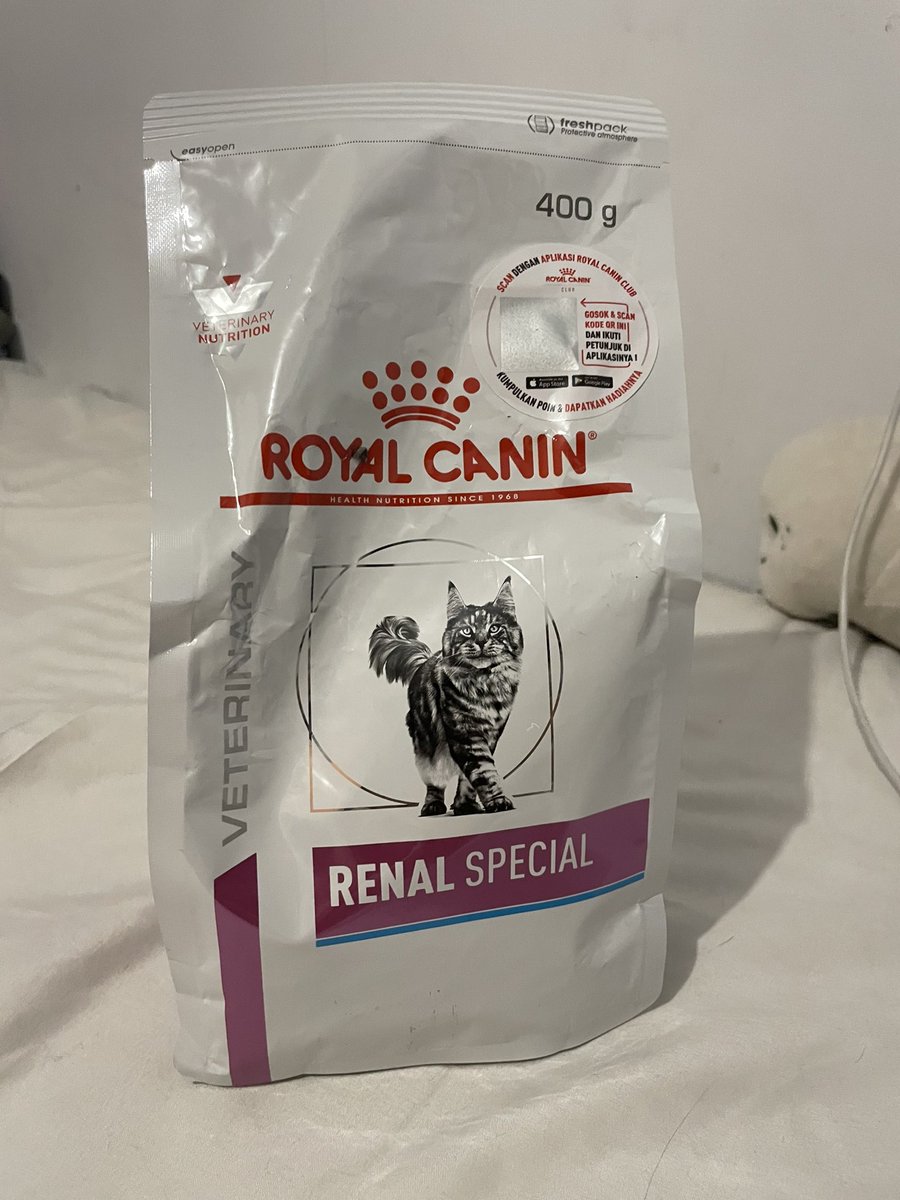 ong1ngong's tweet image. Hai guys aku mau giveaway satu pack royal canin renal special 400gr buat yg anabulnya membutuhkan (tinggal byr ongkir aja)🫶🏻 btw ini khusus buat yg kucingnya sakit ginjal ya! RT dan reply aja kl berminat! #giveaway #makanankucing #royalcanin #zonaanabul