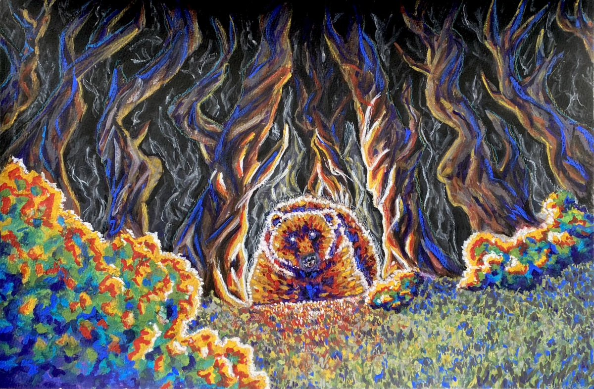 cassadeir's tweet photo. bear

#art https://t.co/p9SaGNb0Hh