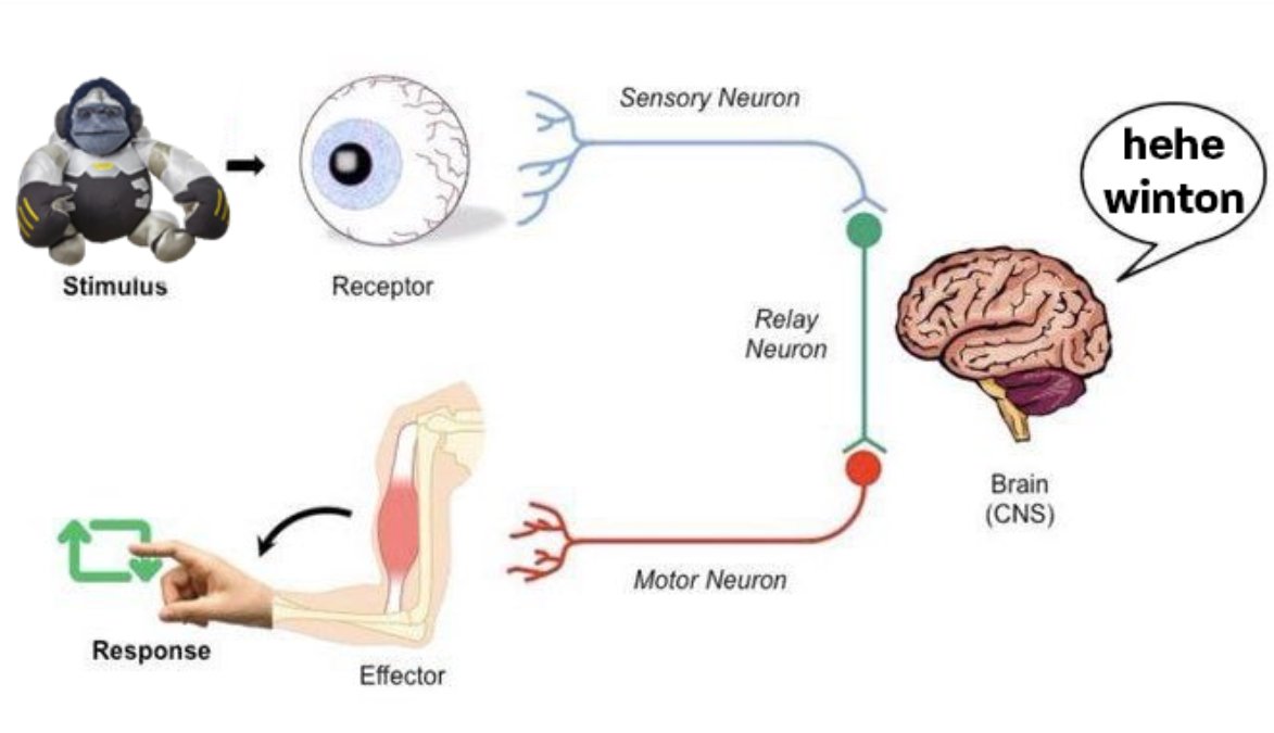 NyanSpam's tweet image. Winton Overwatch