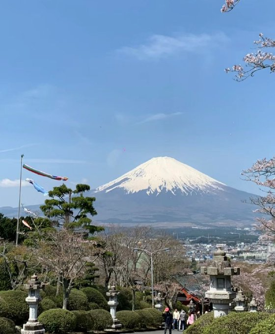 Enjoying the splendid day and the cherry blossoms hint at springtime #FUJI
