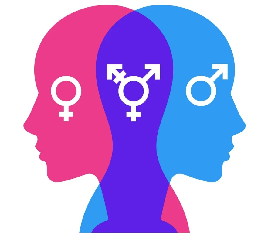 Réservez vos 25 et 26 juin. L'AFPSVT organise un colloque sur le thème "Education à la sexualité : identités de sexe et de genre". Ce sera à La Rochelle ! Le programme détaillé sera dévoilé bientôt.