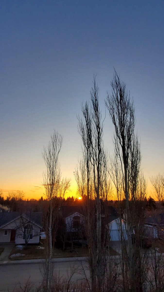 Let's do this! Happy Monday friends 😊
#sunrise #Lacombe #Alberta #ceg3