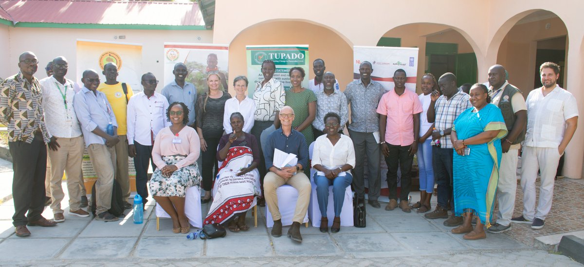 Life&Peace Institute tweet media