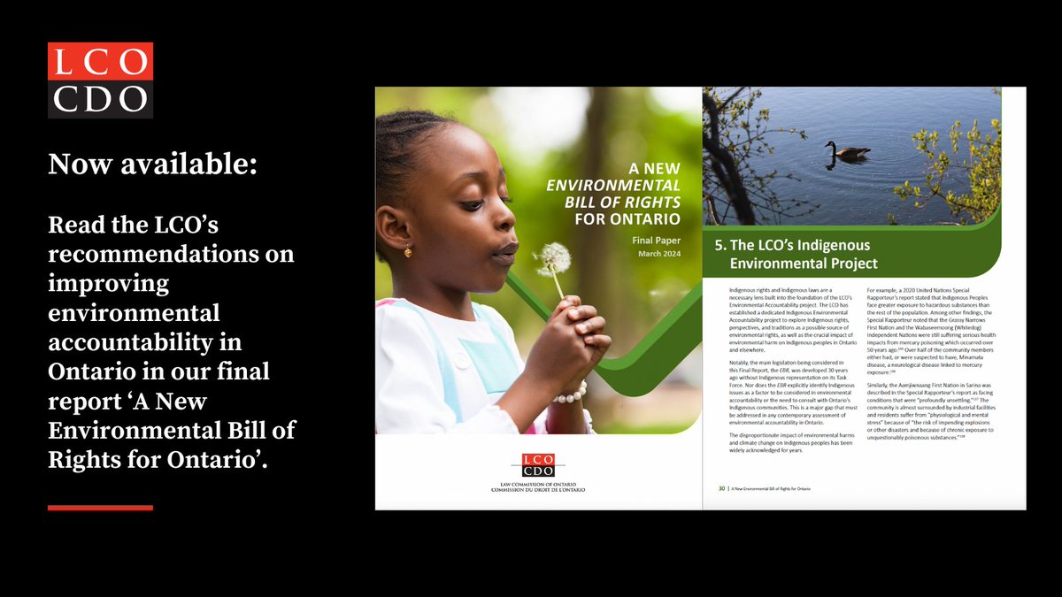 LCO_CDO's tweet photo. 🚨 It’s here! Read the LCO’s latest paper “A New Environmental Bill of Rights for Ontario”.

https://t.co/kg70nKWUex

The LCO welcomes your thoughts and feedback on the report and ways to move forward. 🪴

#climatechange #onpoli #cdnpoli #lawreform #environmentaljustice https://t.co/lNtLFT42Il