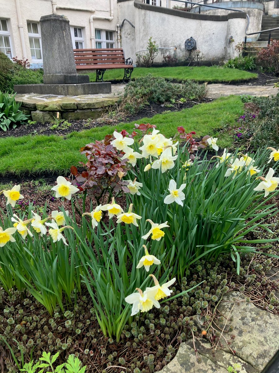 Spring has sprung (finally!) at Whitefoord House 🌞
