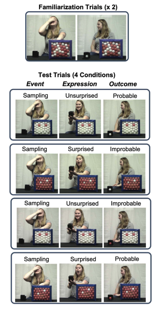 My study with @hyogweon & @MeganMerrick6 is out! While infants usually look longer at unexpected than expected events, we show that this pattern can be reversed by emotion cues: Infants actually 'expect the unexpected' following other people's surprise! doi.org/10.1162/opmi_a…