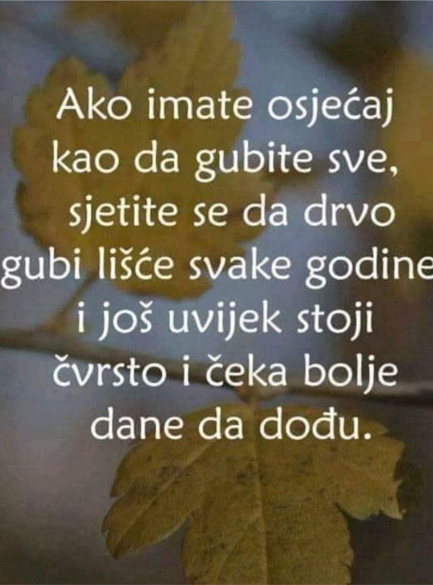 _kremenko's tweet image. 