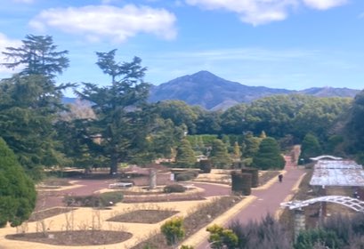 botkinosei's tweet photo. 「植物園会館の2階。府立大学の建物が低く見える他に視界をさえぎるものがなく、比叡山が一望できる。眼下にはバラ園。咲き揃ったときの美しさは言葉が出ない。100年前、設計者は比叡山を借景にした日本一の植物園を思い描いた。私たちはこの景色を残し続ける義務がある。」
#京都府立植物園
#100周年 https://t.co/Tg2JaHFgMj