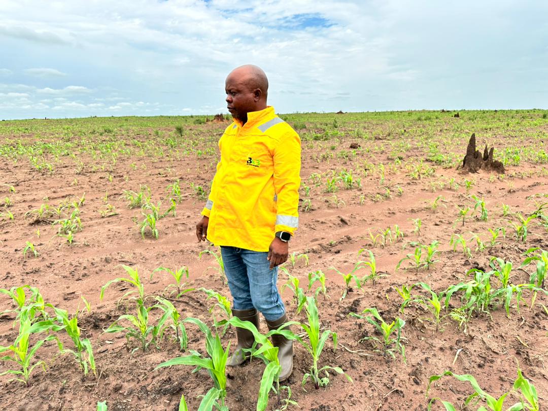 BioAgroBusiness's tweet photo. Préparation de la semi pour la saison B 2023/Production de maïs 🌽

Après la phase de récolte de la saison A 2023, nous entamons déjà la semi pour la saison B 2023 sur une superficie de 500 hectares, sur le site de Sakadi, dans la province du Haut-Lomami. 

Nous produisons, sur ce site, plus de 1 000 hectares de maïs chaque année. 

Engagés et motivés, nous comptons sur l'accompagnement (subventions pour le carburant et les intrants) des autorités compétentes pour préparer les nouvelles saisons 2024.
