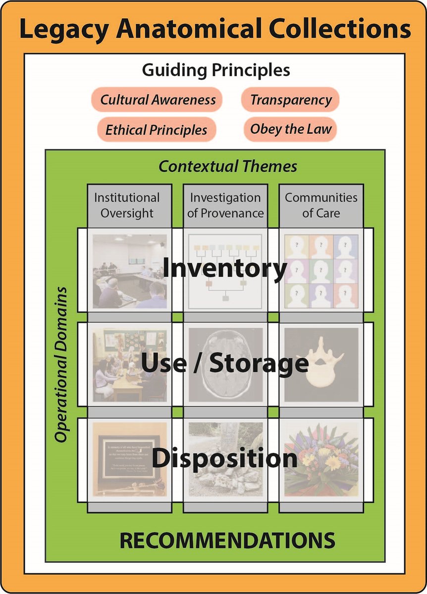 The important new "Recommendations for the Management of Legacy Anatomical Collections" from <a href="/AnatomyOrg/">American Association for Anatomy</a> provides specific recommendations for each aspect of inventory, use, and potential disposition of legacy anatomical materials. 
Cornwall, DeLeon, et al doi.org/10.1002/ar.254…