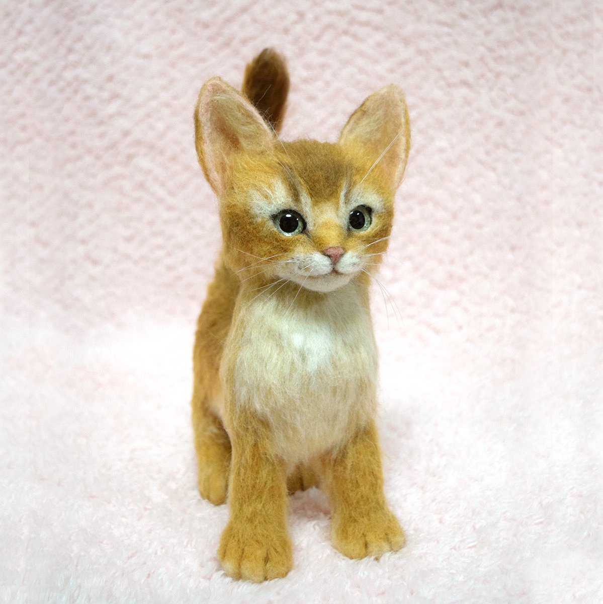 studio_coup's tweet photo. アビシニアンの子猫を
作らせていただきました🐱
#羊毛フェルト #ニードルフェルト #handcraft #アビシニアン #felt #feltingneedle #felting #子猫 #ねこ #animalart #meoued #dailykitten #catstagram #cat #catlovers #catractive #catscatscats #Abyssinian
#羊毛猫 #minne https://t.co/DrKMqgA5jX