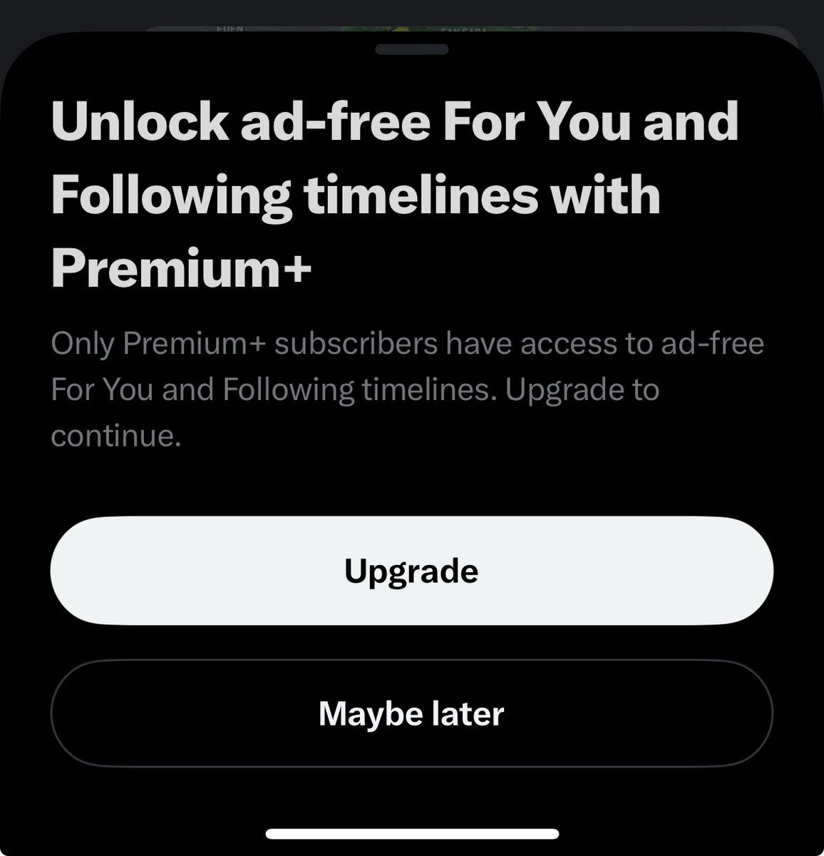 amberheckler's tweet photo. I know Twitter is getting sick of me bc I’m getting prompted with this every time I block an ad https://t.co/9Szcryjly3