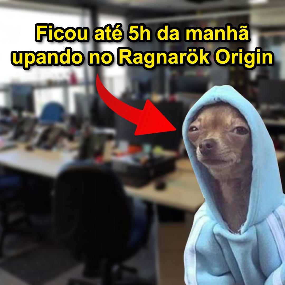 Ragnarok Origin: ROO Brasil tweet media