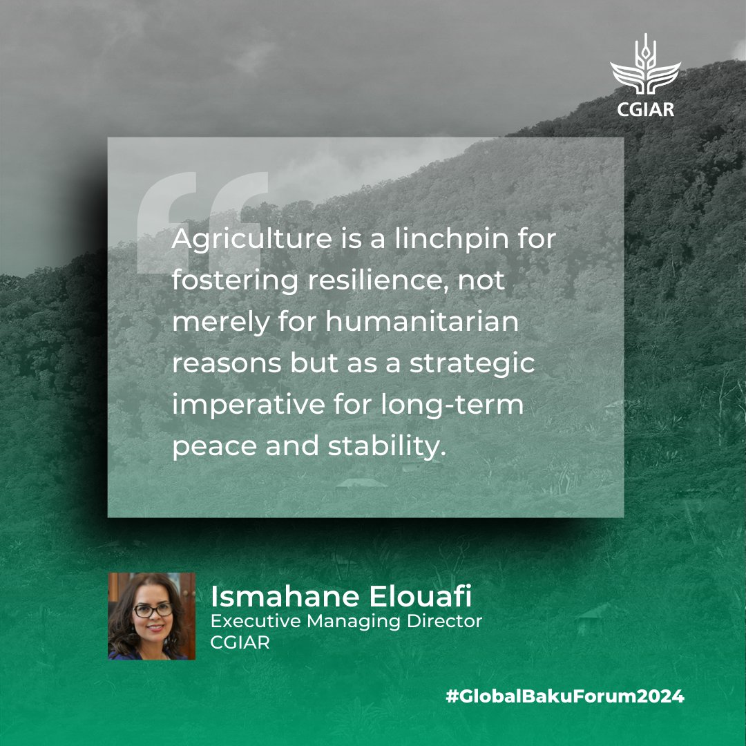 CGIAR's tweet photo. Speaking at the #GlobalBakuForum, @CGIAR_EMD Ismahane Elouafi focused on the role of #agriculture in #resilience and #peace.
🔗Read more: https://t.co/e7HkJUFotX
#OneCGIAR #XIGBF https://t.co/DFEmiyj8JN