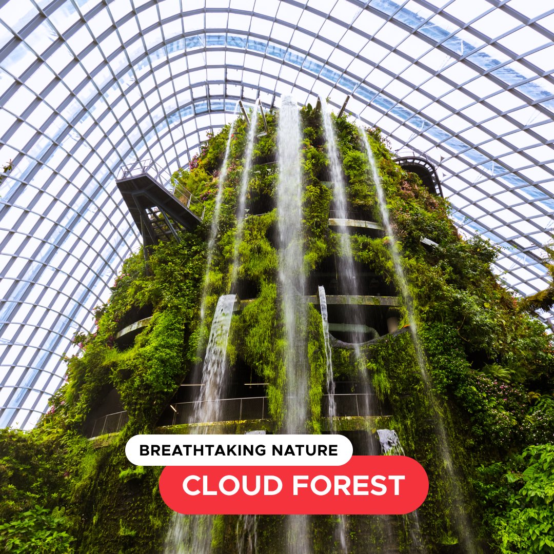 VisitSG_US's tweet photo. Good eats and gorgeous gardens make for a game-changing trip. Check out some of the Singaporean sights that inspired a particular visitor during the #TSTheErasTour.

Book your Singapore vacation now on KAYAK: https://t.co/1VJ9RZCo2f

#VisitSingapore #PassionMadePossible https://t.co/nNMz1BzxLA