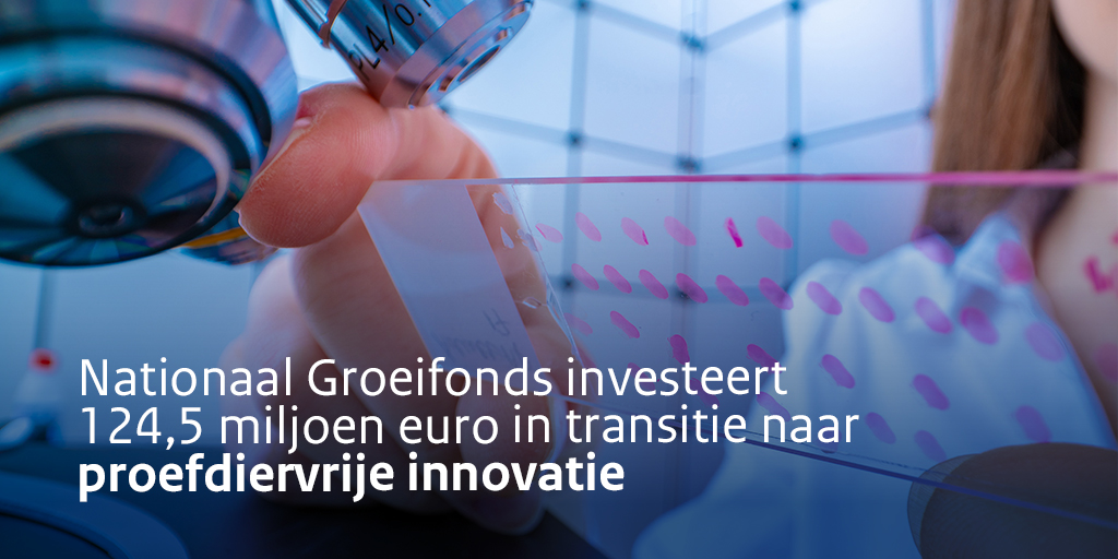 Het Nationaal Groeifonds investeert 124,5 miljoen euro in een nieuw Centrum voor Proefdiervrije Biomedische Translatie (CPBT) om de komende tien jaar de transitie naar proefdiervrij onderzoek te versnellen.

1/3 🧵⬇️