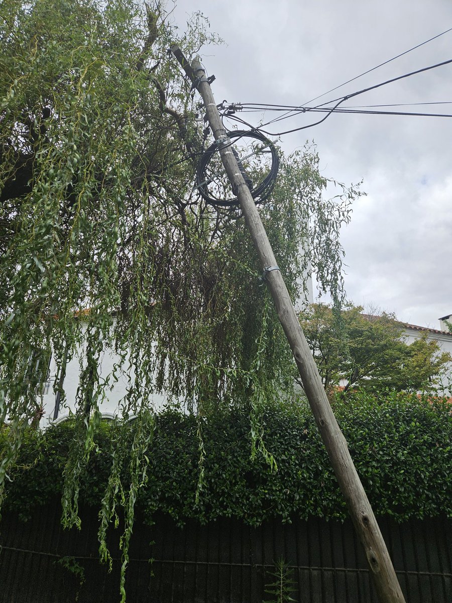 Buen día,  este poste con cable río eléctrico está por caer dentro de mi casa , ya reclame por la APP , podrán venir ? 
Gracias 
<a href="/SanIsidroGob/">San Isidro</a> <a href="/RamonLanus/">Ramón Lanús</a>