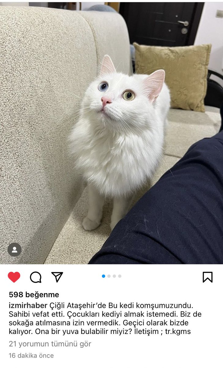 Yine bir vefat yine bir evsiz kalma sorunu… arkadaslar yayalim mi elden ele