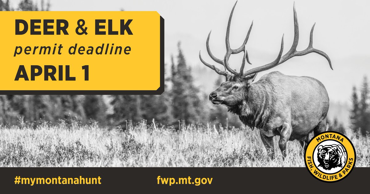 Apply early, don't wait! The deadline for deer and elk permit applications is April 1 at 11:45 p.m. MST. Have questions? The FWP licensing call center will be open from 7 a.m. to 7 p.m. Call 406-444-2950 fwp.mt.gov/buyandapply/hu…