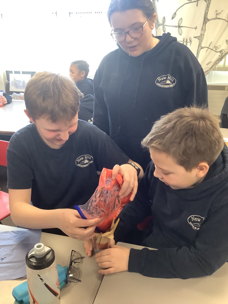 NewMillJrSchool's tweet photo. A big thank you to Dr Hazel Girvan, Senior Lecturer in cell Biology/Biochemistry from the Department of Biological &amp; Geographical Sciences @HuddersfieldUni. Year 6 pupils have now learned how to extract DNA from a strawberry. #NMJSSCIENCE #CoolScience #Stem https://t.co/mH39jyQVAj