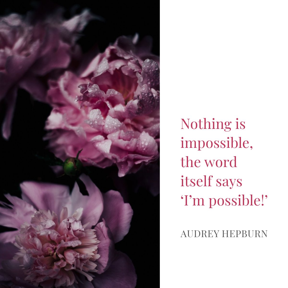 Ohio LSAMP Alliance tweet media