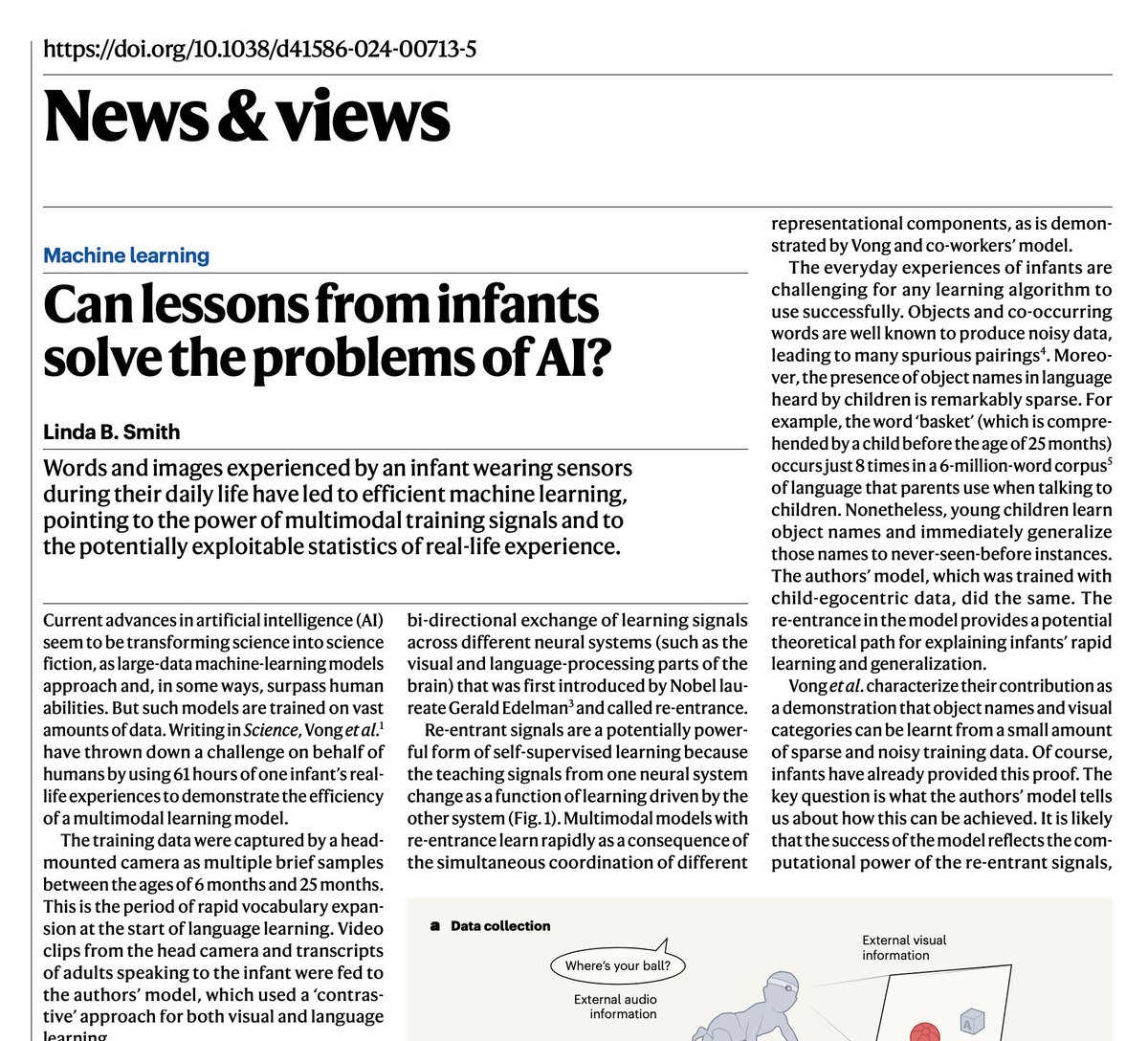 Linda Smith, one of the scientists I most admire, writes in Nature 'News and Views' about @wkvong 's work. Linda's conjecture: 'problems of data-greedy AI could be mitigated by determining and then exploiting the natural statistics of infant experience' nature.com/articles/d4158…