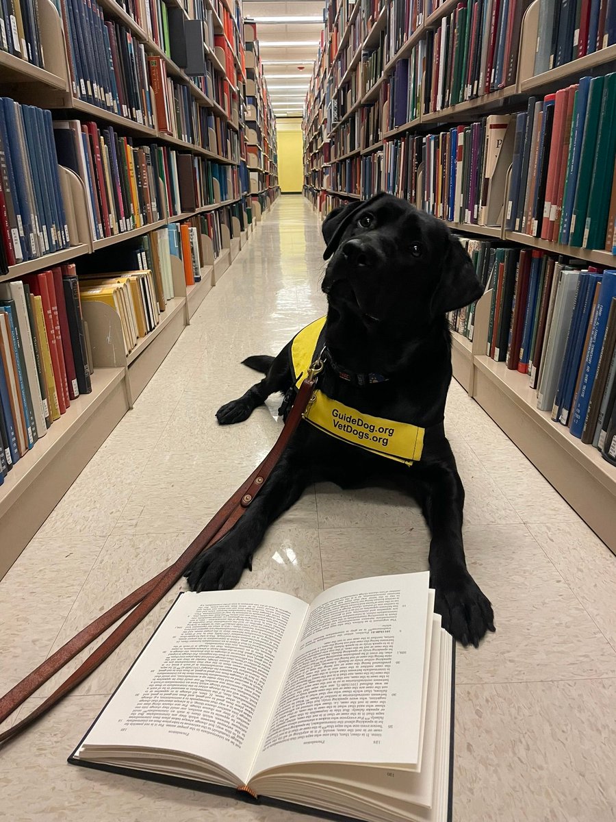 CVHS staff member Teresa Shotz shared a picture of Lomi the lab enjoying her favorite non-fiction books at the library. Discover new non-fiction books at Creekview Media Center and enter your pet in our Pets Caught Reading Contest! buff.ly/3PlUpn4