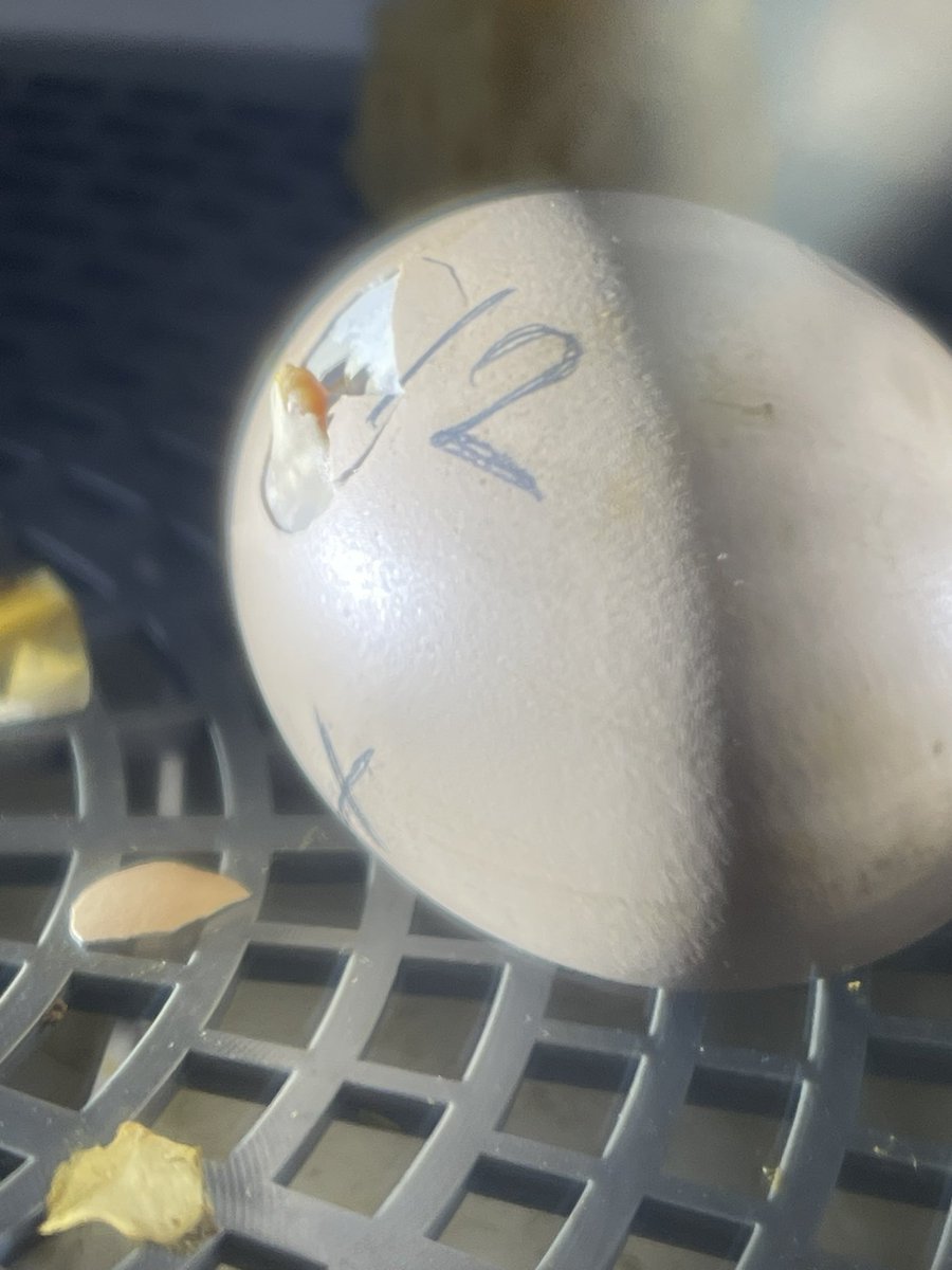 Kathleen Parrish tweet media