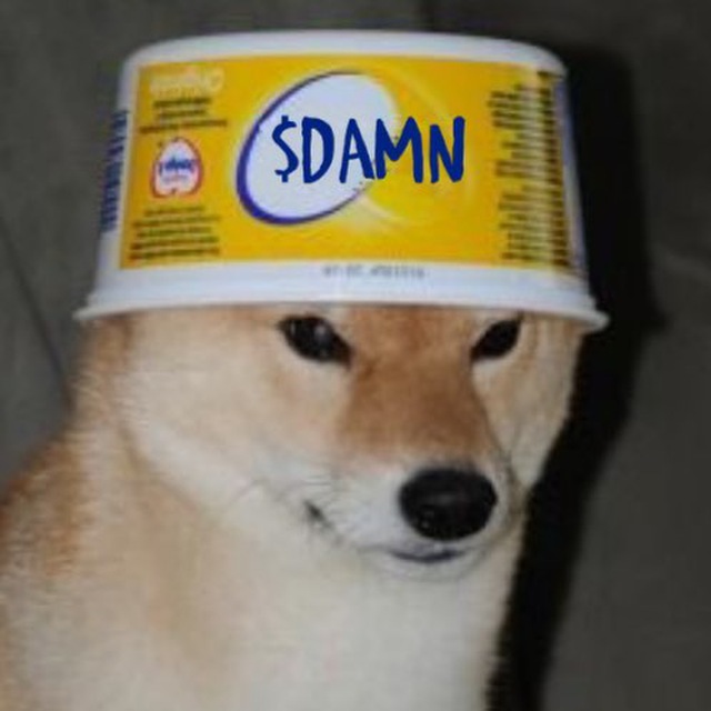 $Damn just started, It's a memecoin on Shibarium.

You came early!

<a href="/binance/">Binance</a> 
<a href="/okx/">OKX</a> 
@gate_io 
<a href="/MEXC_Official/">MEXC</a> 

#Shibarium $Damn