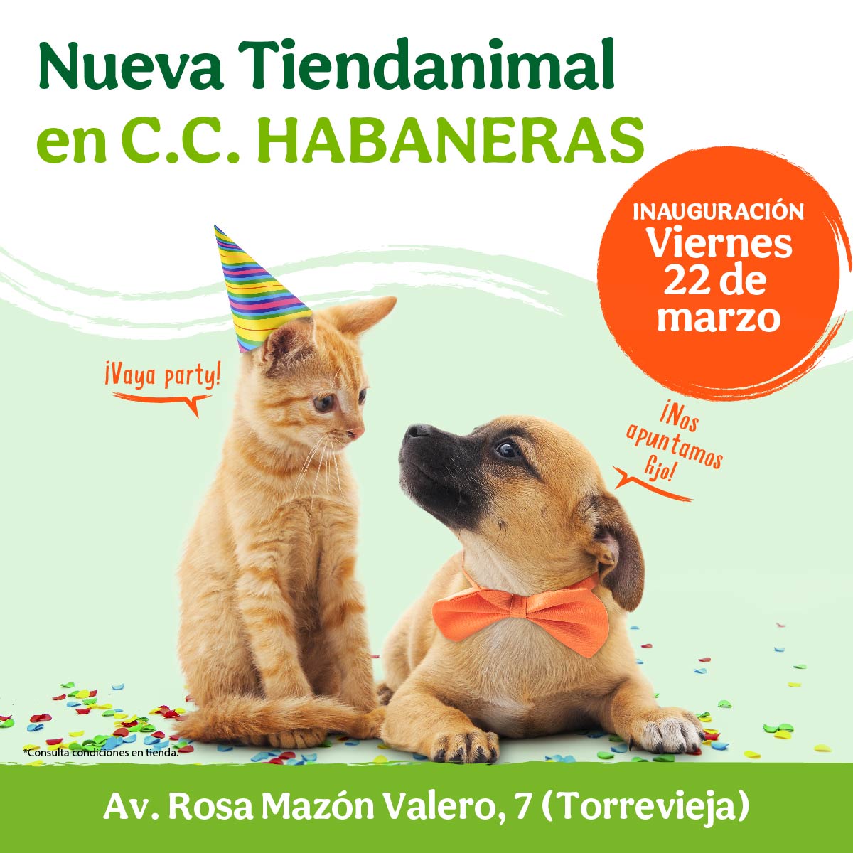 ¡NUEVA TIENDA EN C.C. HABANERAS!💚 ¡El 22/03 abrimos nueva Tienda en Torrevieja! Nuestro equipo está deseando mostraros este nuevo espacio, donde os brindarán la mejor atención a ti y a tu peludo.🐾

¡Y con fiesta de inauguración incluida! 🥳 ¿Vienes a celebrarlo con nosotros?