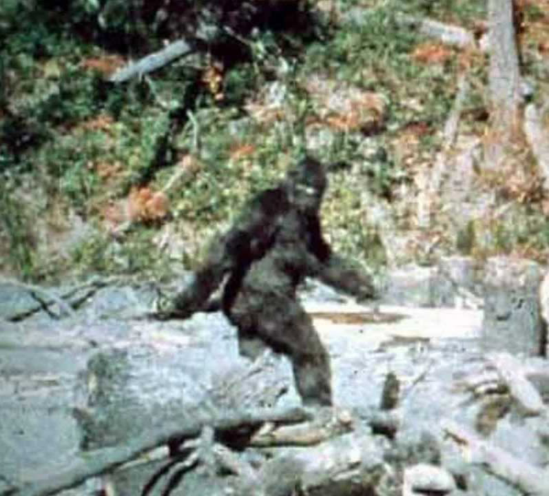 leslie59904273's tweet photo. People are reporting Kate Middleton sightings like she's a Bigfoot. Do you believe in Kate Middleton? https://t.co/Hv0borkvzt