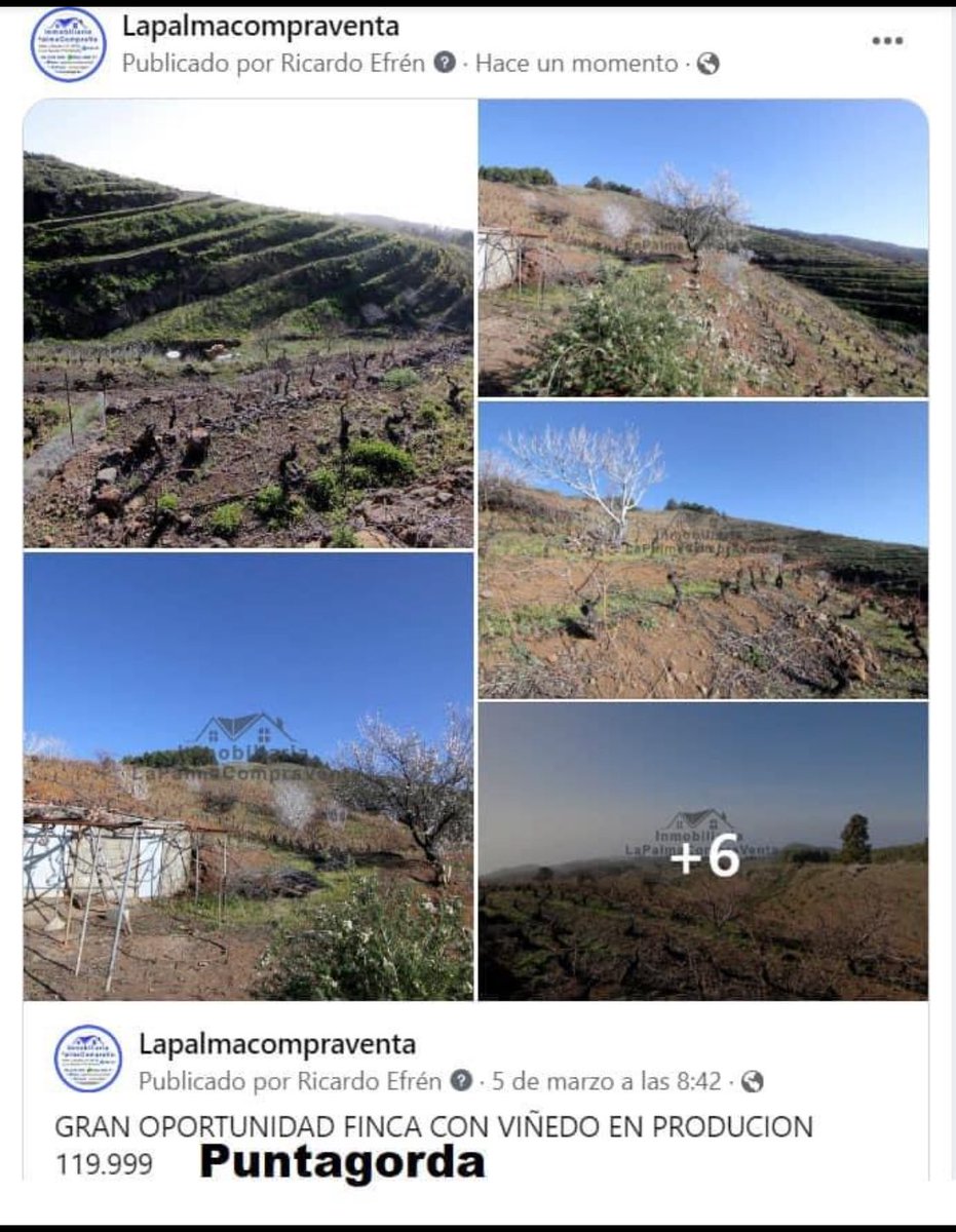 ServiceCanaria1's tweet image. Tu Inmobiliaria de Confianza LaPalmaCompraVenta en la Islas Canarias le Ofrece :
⁃Asesoría inmobiliaria 
⁃Valoración de mercado 
⁃Trámite de Herencia , Notaría y Registro de Propiedad 
⁃Trámite Urbanístico 
⁃Certificado Energético 
⁃Medición 
“Lo que necesitan”