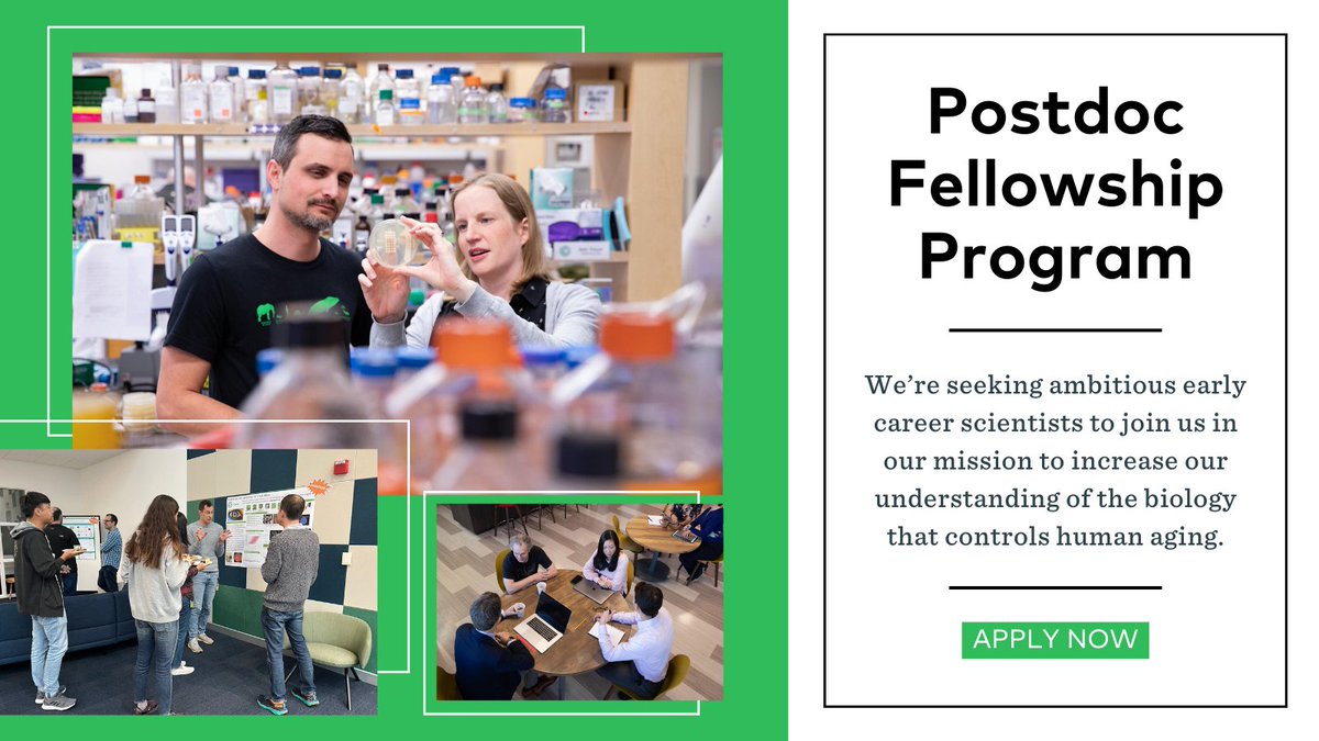 Are you an early-career scientist seeking a distinctive path in aging research? 

Apply for a Calico Postdoctoral Fellowship & be part of a team that is committed to pursuing groundbreaking discoveries & scientific innovation. 

Learn more: calicolabs.com/postdoctoral-f…

#PostDocJobs