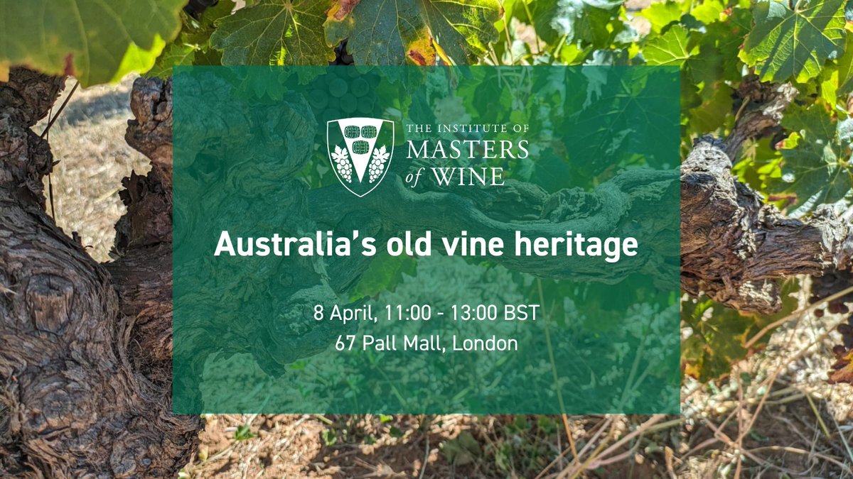 Tickets are now on sale for our upcoming masterclass on Australia's old vine heritage. Sarah Abbott MW will moderate our specialist panel whilst tasting a number of stellar wines, which you can view on the event page. Register now: bit.ly/4a8vawG #mastersofwine