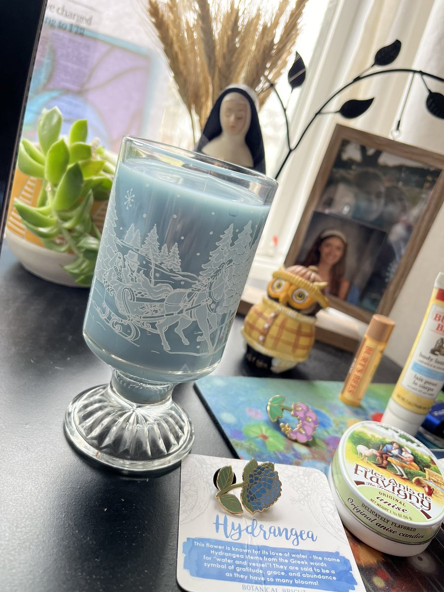 MealsWheelz's tweet photo. It’s a hydrangea-blue tea morning. In honor of the march haredrangea. 🩵

#RoyalAnnouncement #Tea #sundayvibes #MondayMorning #MondayMotivation #Monday #MorningMotivation #March #Spring #soul #food #love @AndrewSacks13 https://t.co/m6zdcqtR7g